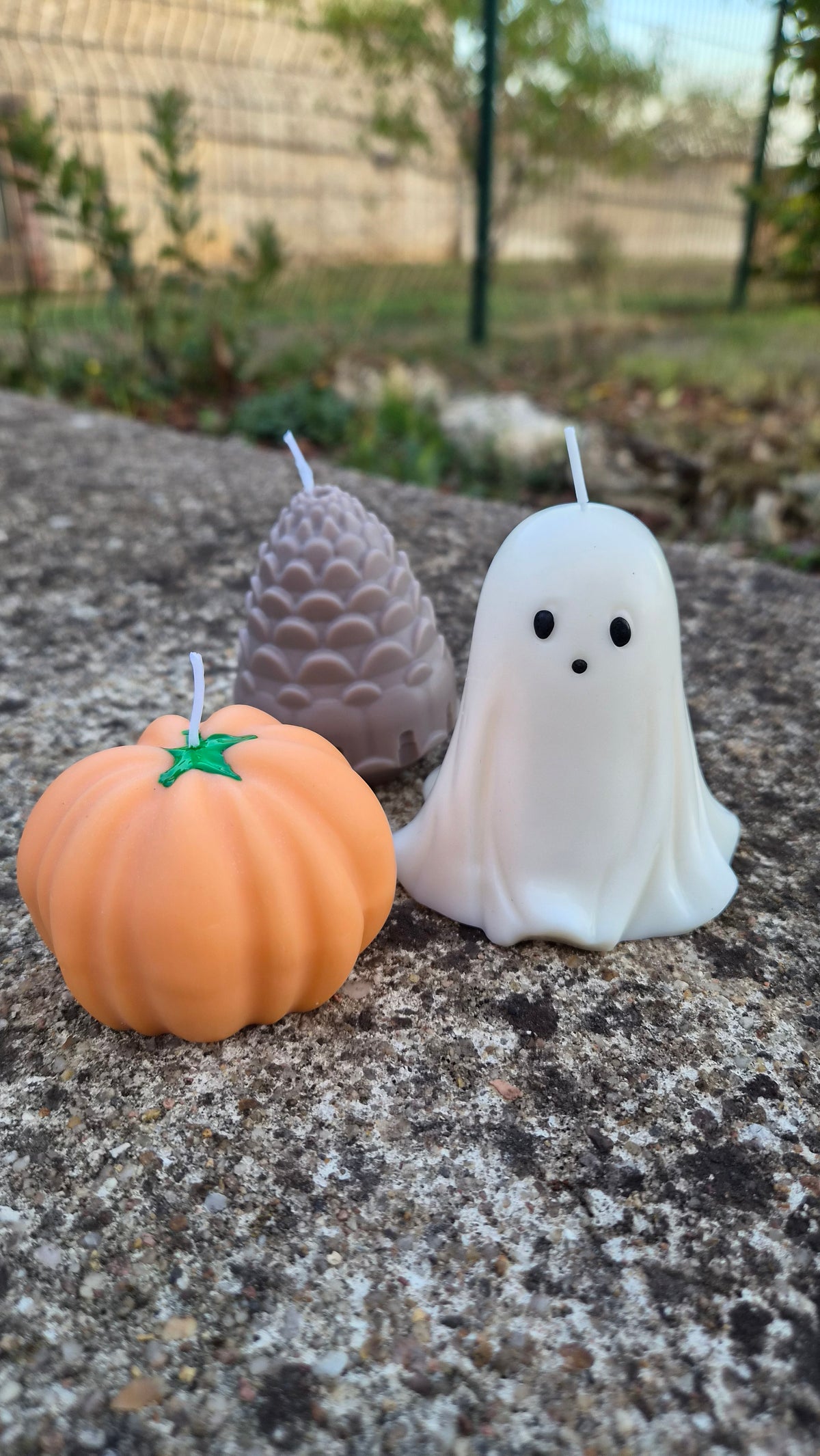 Coffrets d'Automne